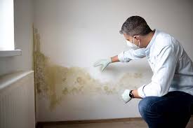 Why You Should Choose Our Mold Remediation Services in Roanoke, AL